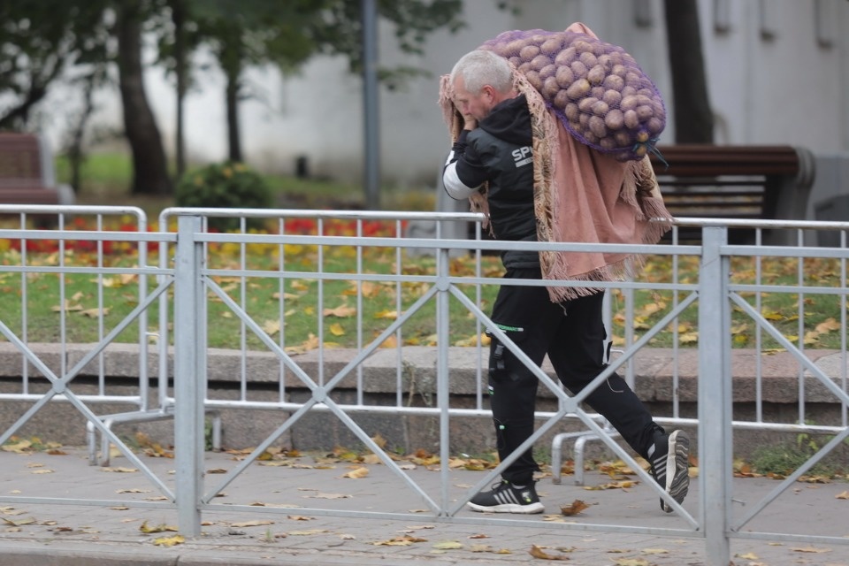 Осенний день год кормит