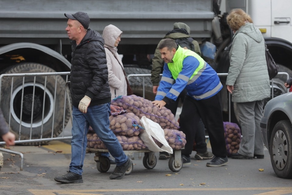 Осенний день год кормит