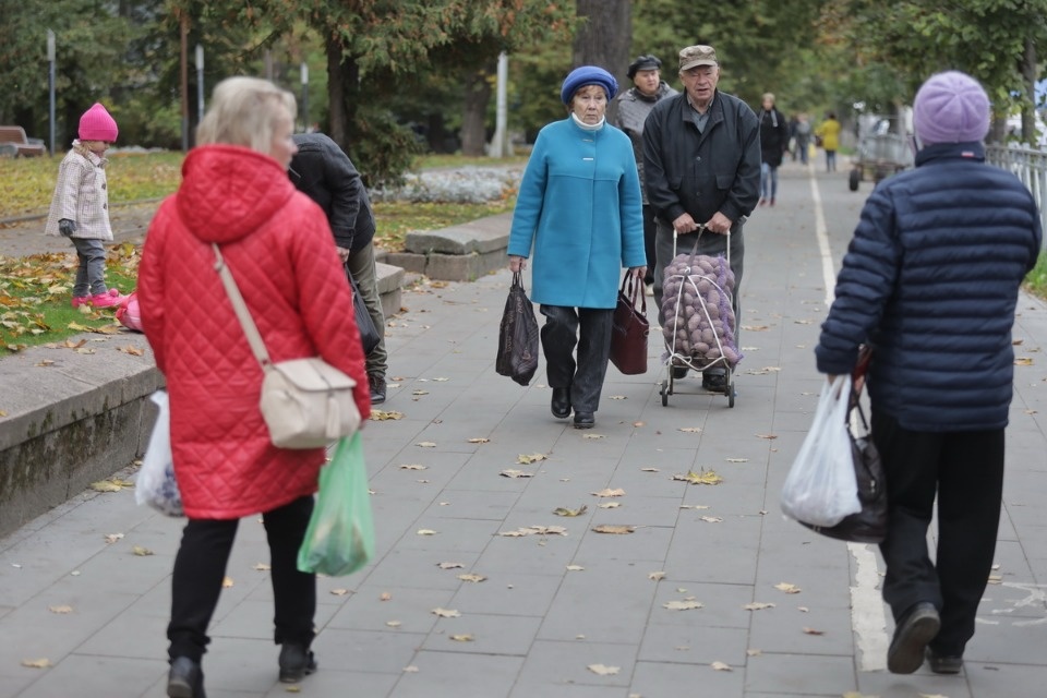 Осенний день год кормит