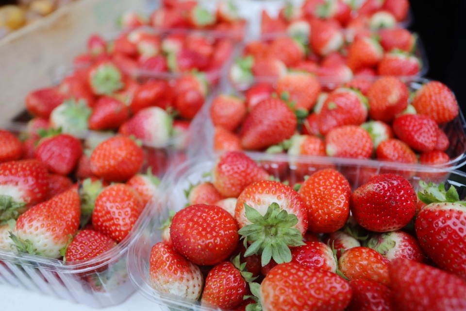 Осенний день год кормит