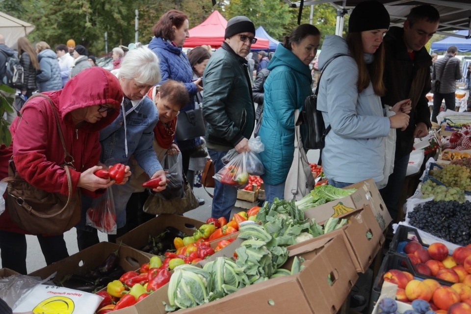 Осенний день год кормит