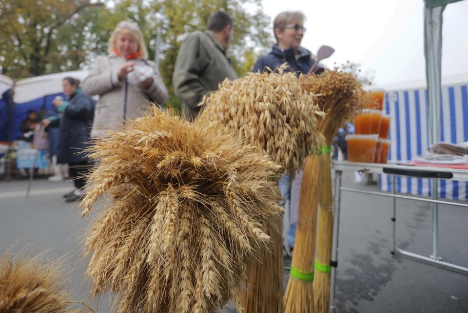 Осенний день год кормит