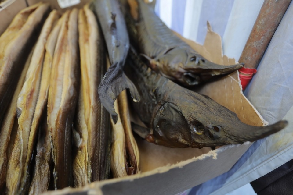 Осенний день год кормит