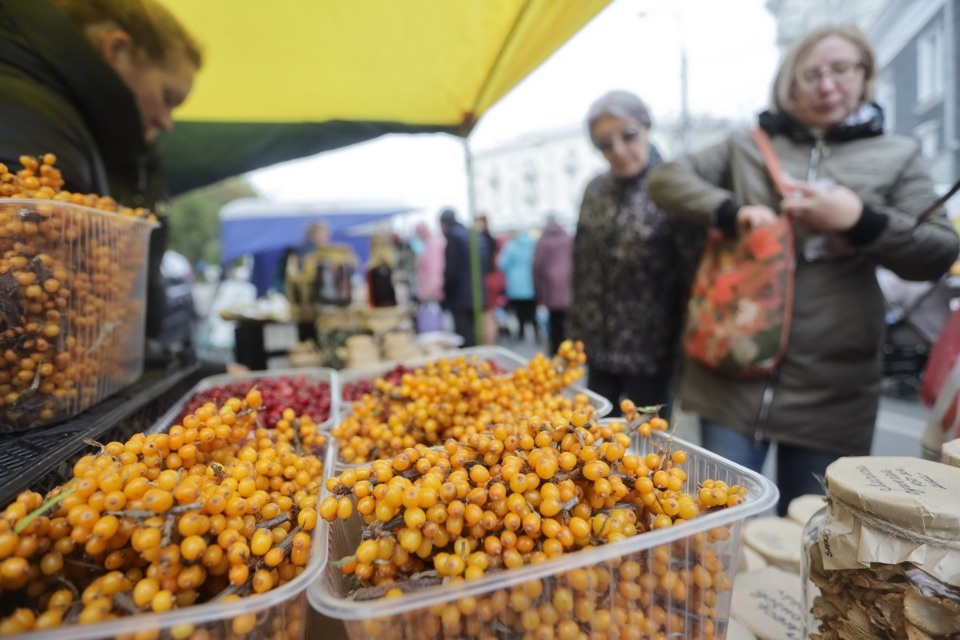 Осенний день год кормит