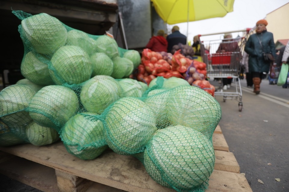 Осенний день год кормит