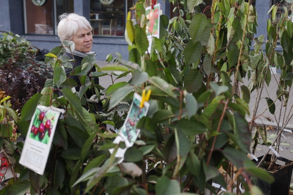 Осенний день год кормит