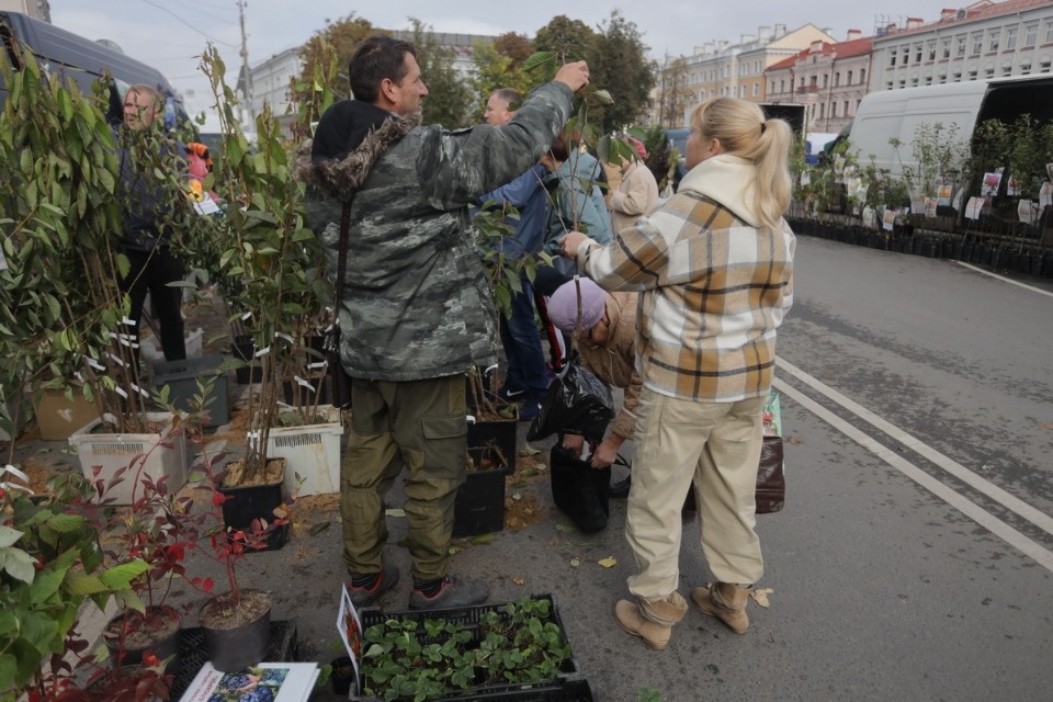 Осенний день год кормит