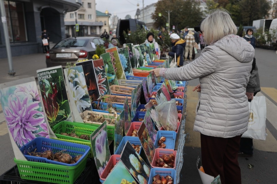 Осенний день год кормит