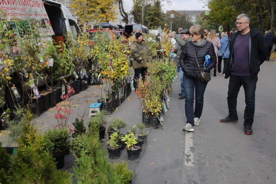 Осенний день год кормит