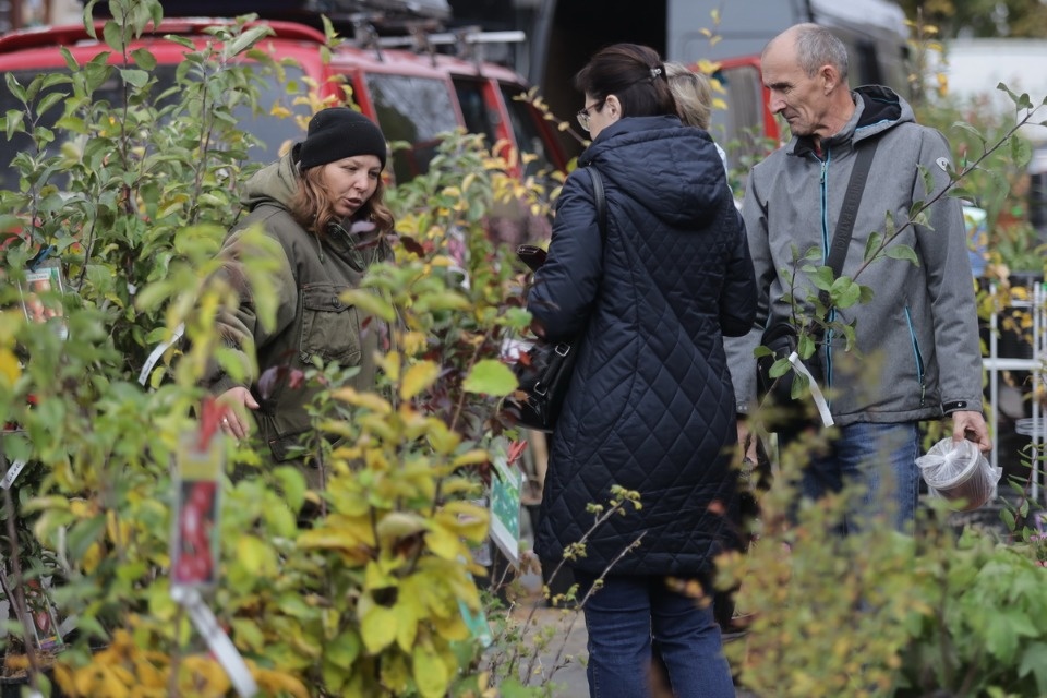 Осенний день год кормит