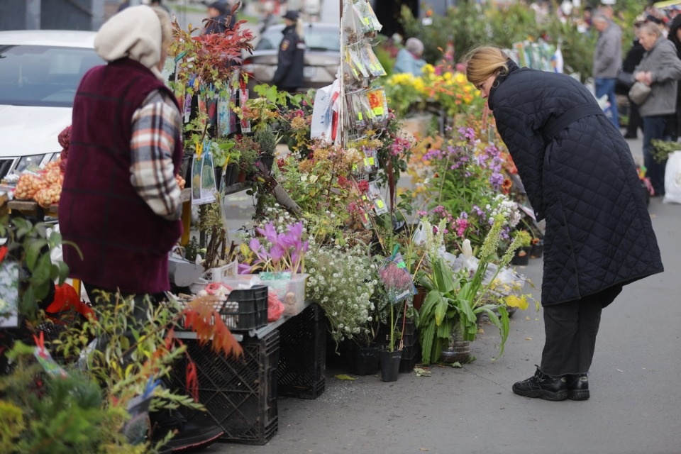 Осенний день год кормит