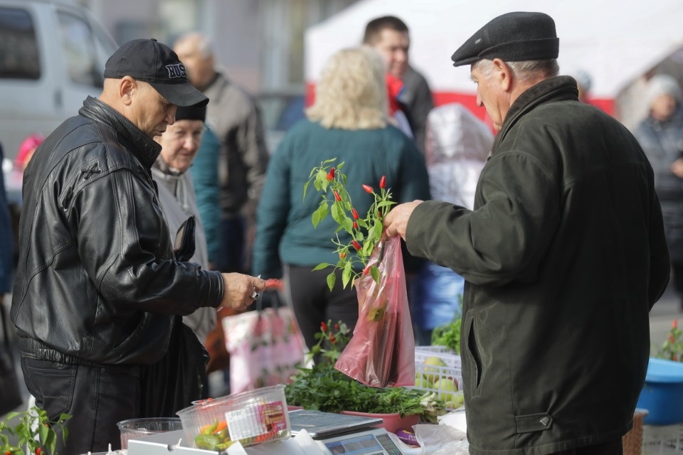 Осенний день год кормит