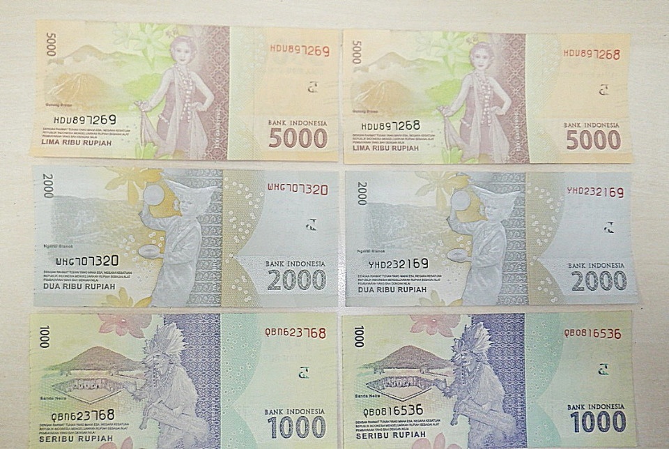 Псковские таможенники не дали вывезти из России незадекларированные деньги из разных стран