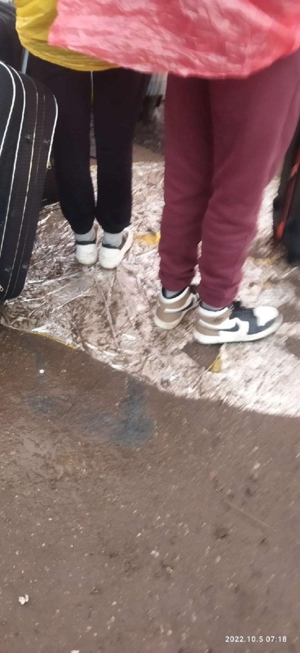 Местная жительница рассказала о неуважительном отношении к помощи псковичей на границе России и Латвии