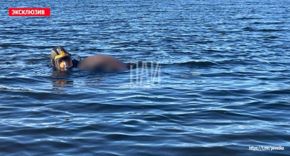 Тело мужчины обнаружили в озере в Себежском районе