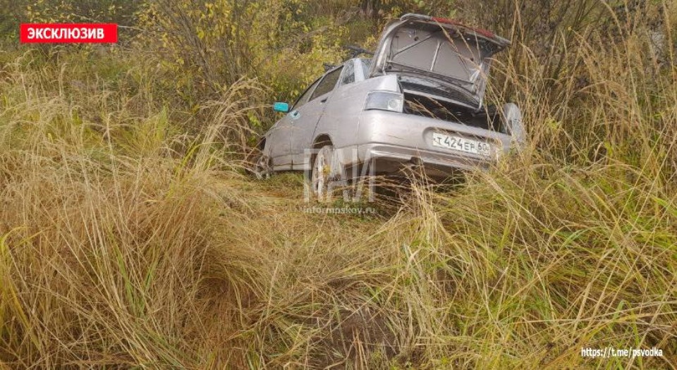 Водителя госпитализировали после того, как он вылетел в кювет в Великолукском районе Водителя госпитализировали после того, как он вылетел в кювет в Великолукском районе