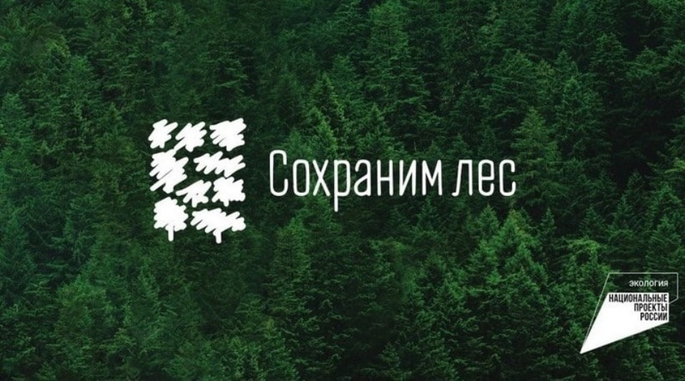 3 тысячи молодых деревьев посадят в Печорском районе 