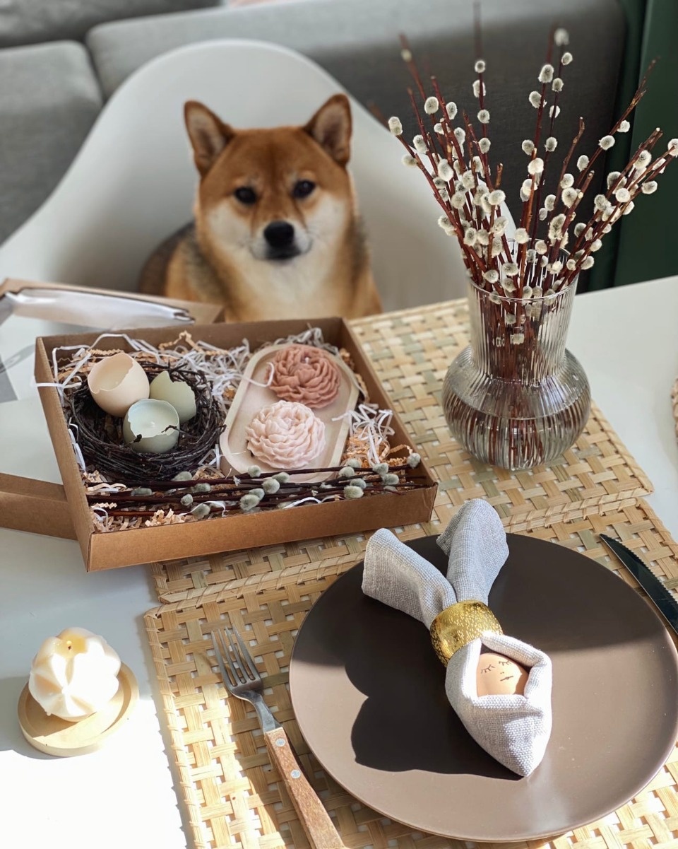 Деньги на дело