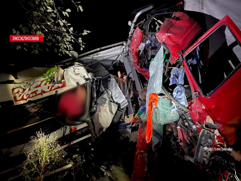 Смертельное ДТП с большегрузами и иномаркой произошло в Островском районе