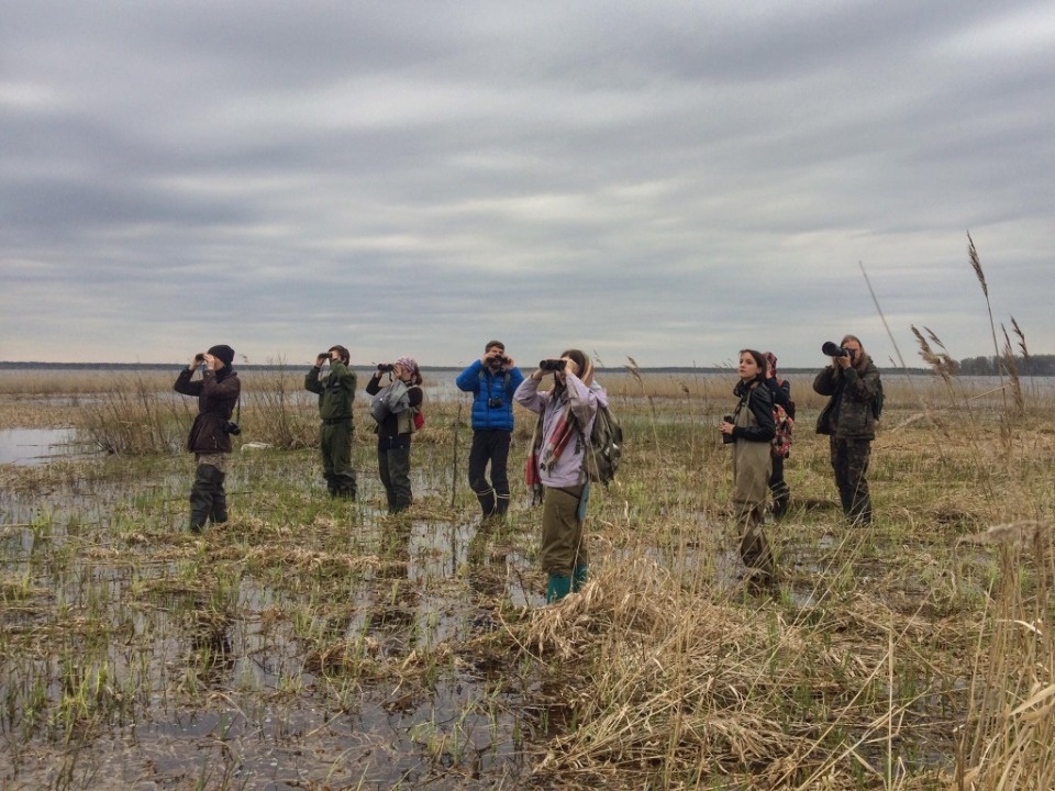 Сохранить баланс