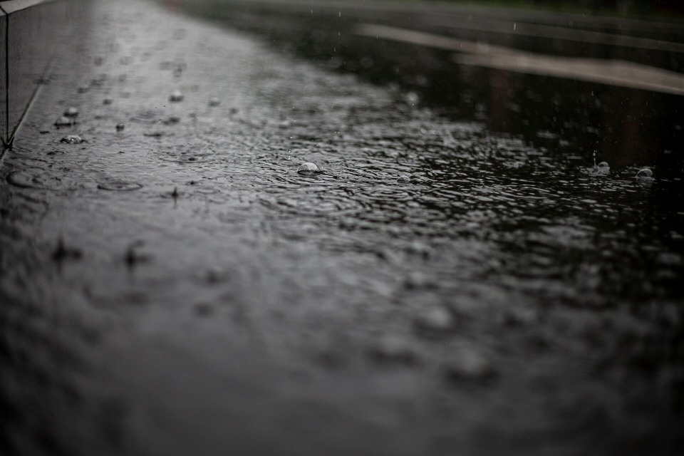 Сильные дожди прогнозируются по юго-востоку Псковской области