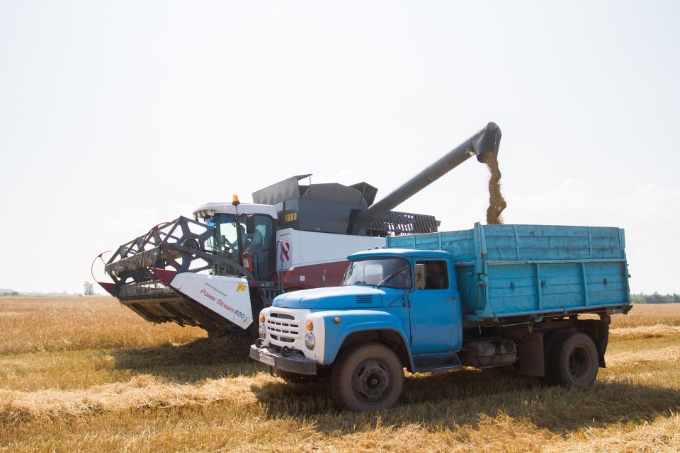 В Псковской области выросла популярность сельскохозяйственных профессий