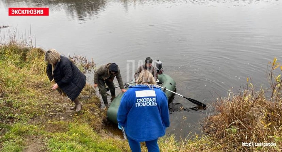 В Острове в реке Великой обнаружили тело неизвестного мужчины
