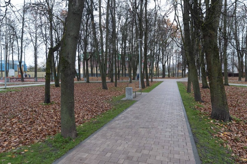 Благоустройство парка имени Юрия Гагарина в Пскове завершат установкой парковых качелей