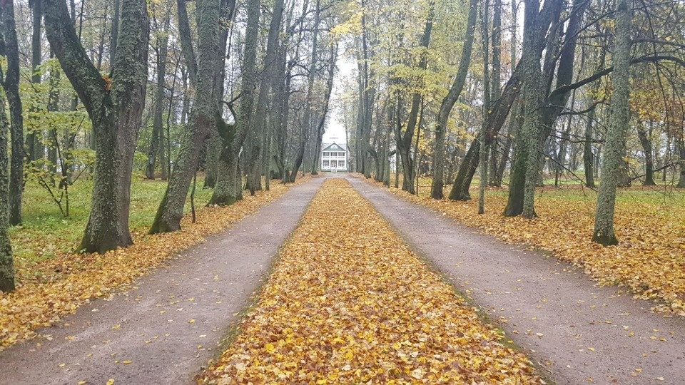 К 225-летию Пушкина отреставрируют усадьбу Ганнибалов в Псковской области