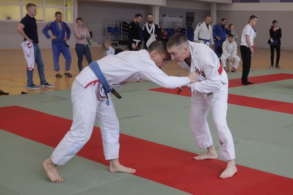 Бои по правилам