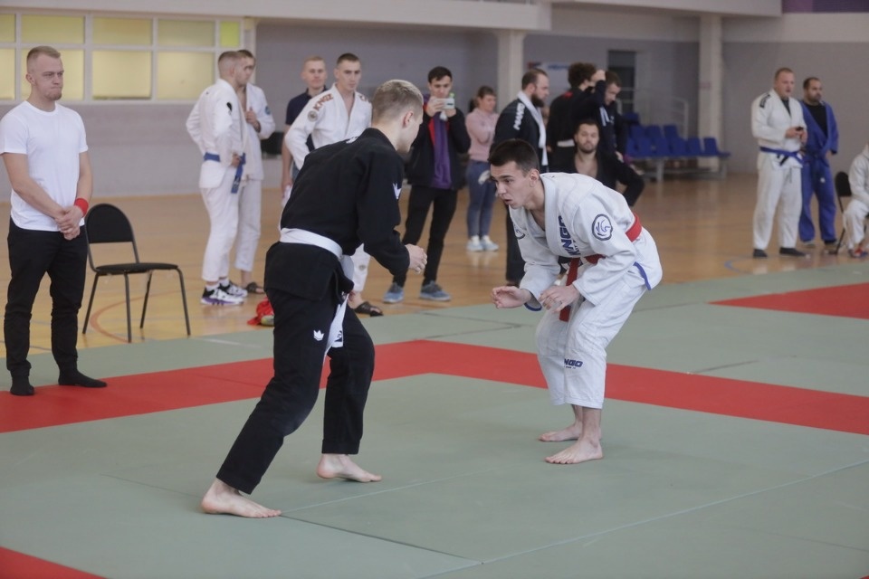 Бои по правилам