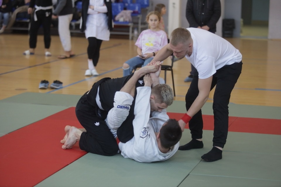 Бои по правилам