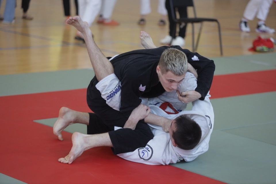 Бои по правилам