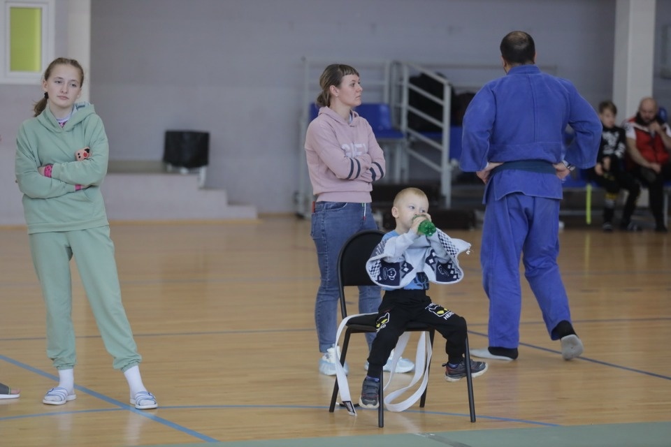 Бои по правилам