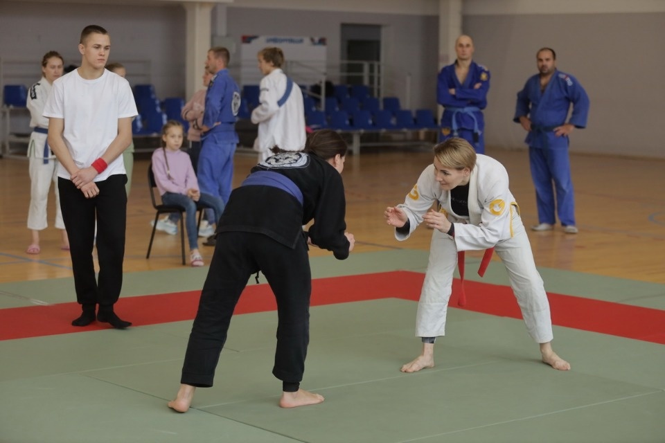 Бои по правилам