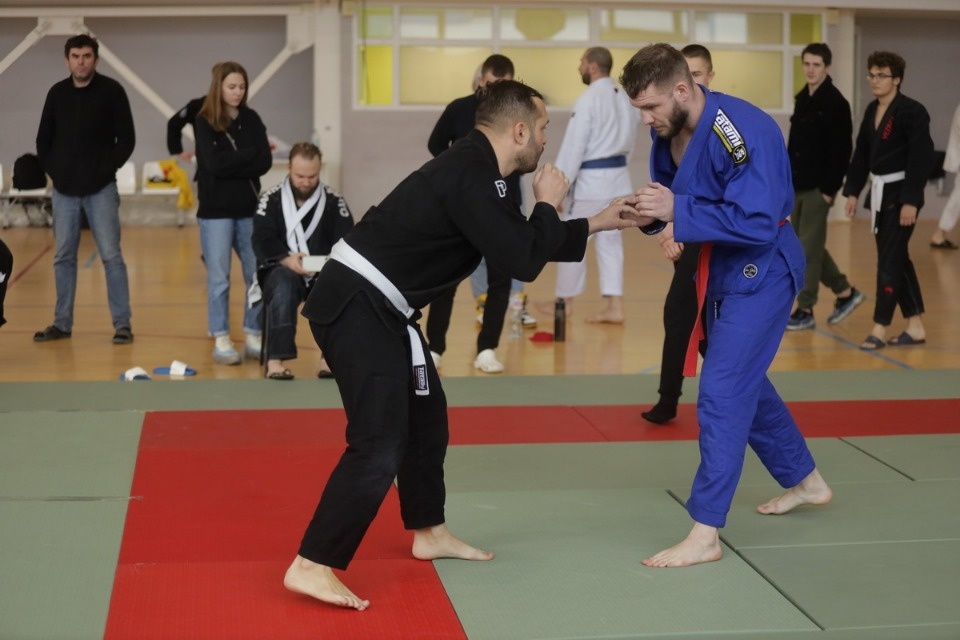 Бои по правилам