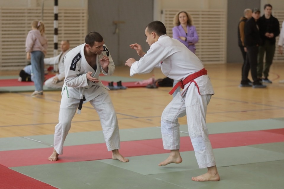 Бои по правилам