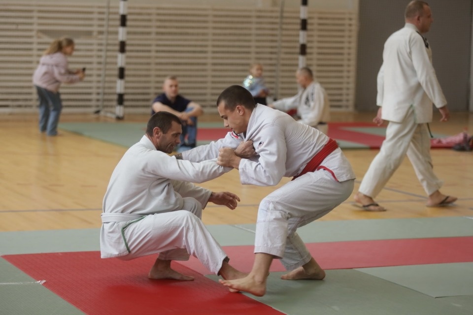 Бои по правилам