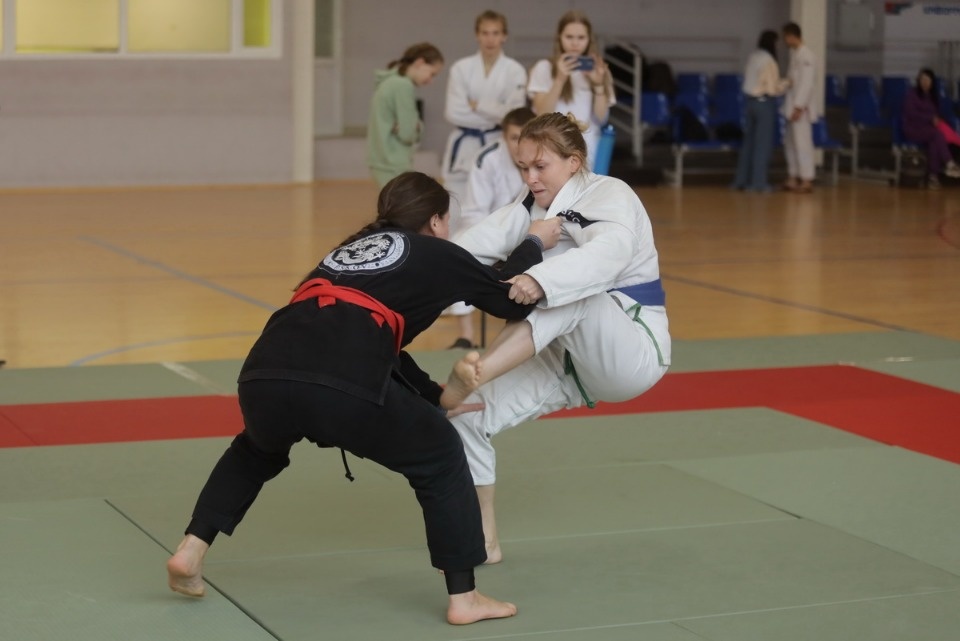 Бои по правилам