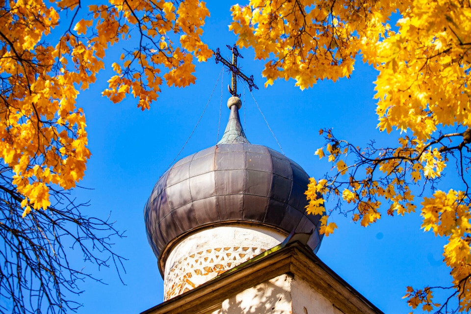 До +10 градусов ожидается в Псковской области 1 ноября До +10 градусов ожидается в Псковской области 1 ноября