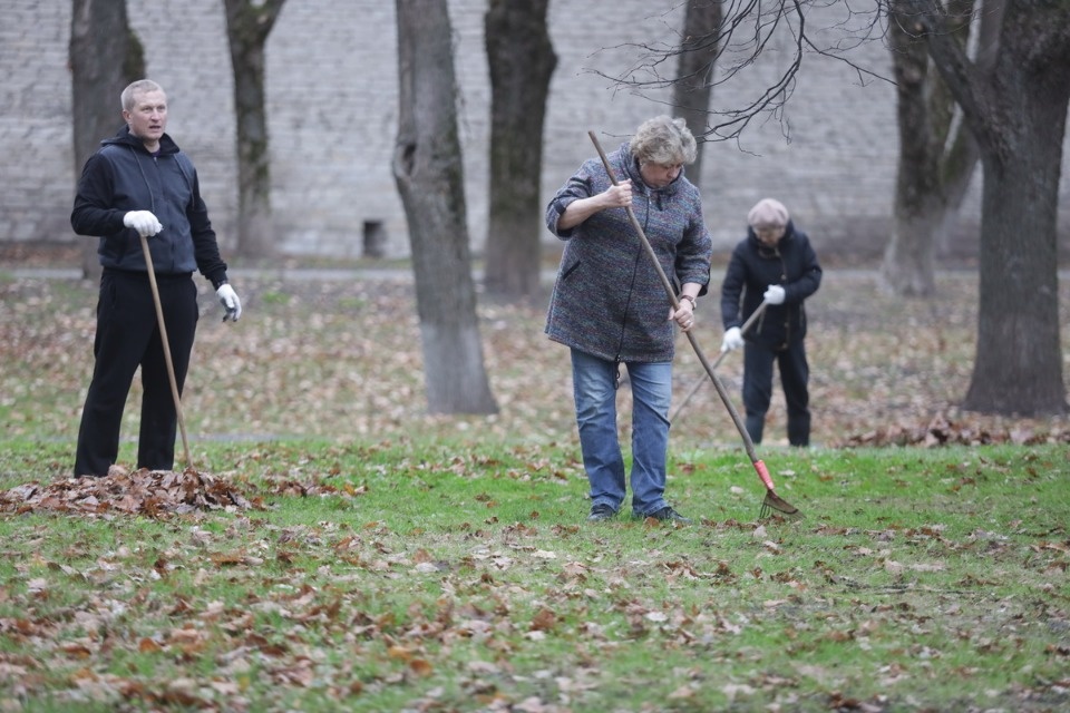  Чистое дело 