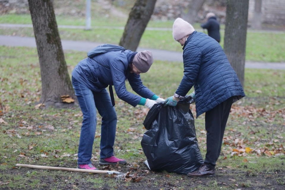  Чистое дело 