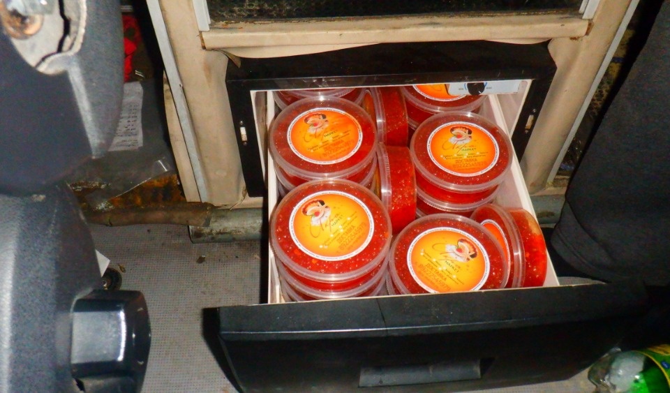 Почти 13 кг красной икры пытались вывезти из России через Псковскую область