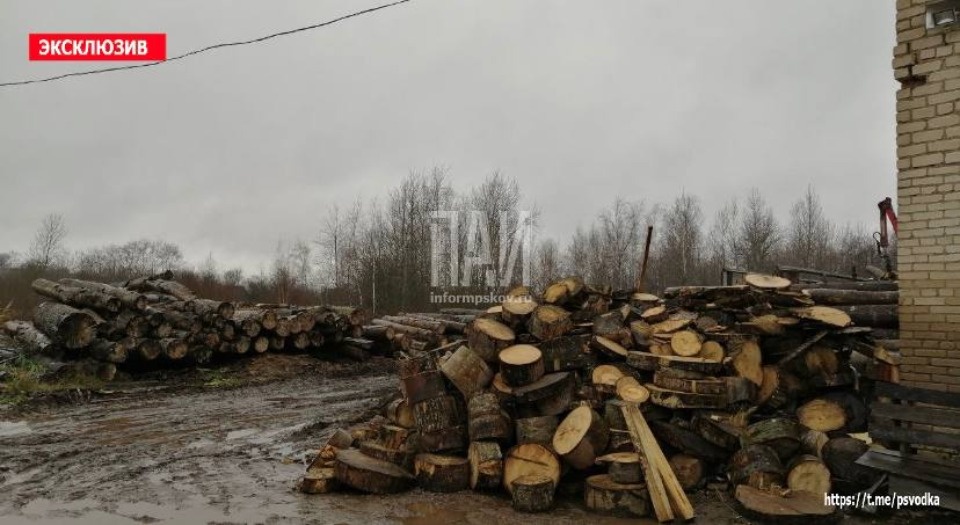 Из-за несчастного случая в Носокольническом районе погиб водитель крана Из-за несчастного случая в Носокольническом районе погиб водитель крана