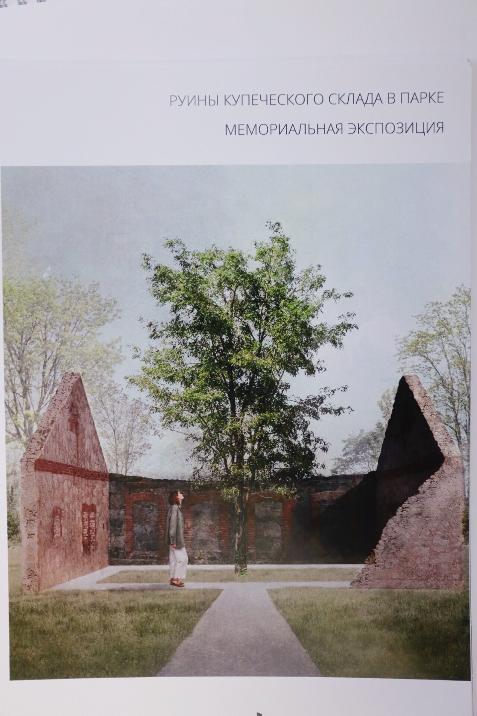 Оазис на Шелони