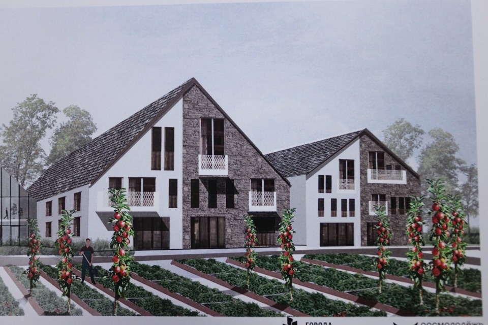 Оазис на Шелони