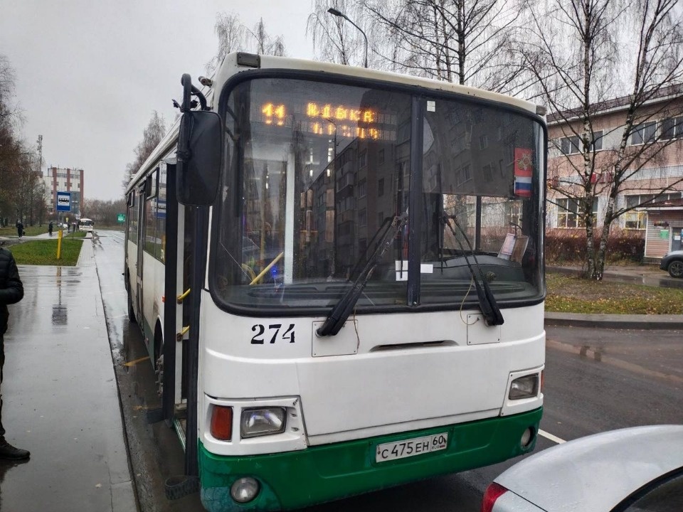 Псковичка пострадала в результате экстренного торможения автобуса