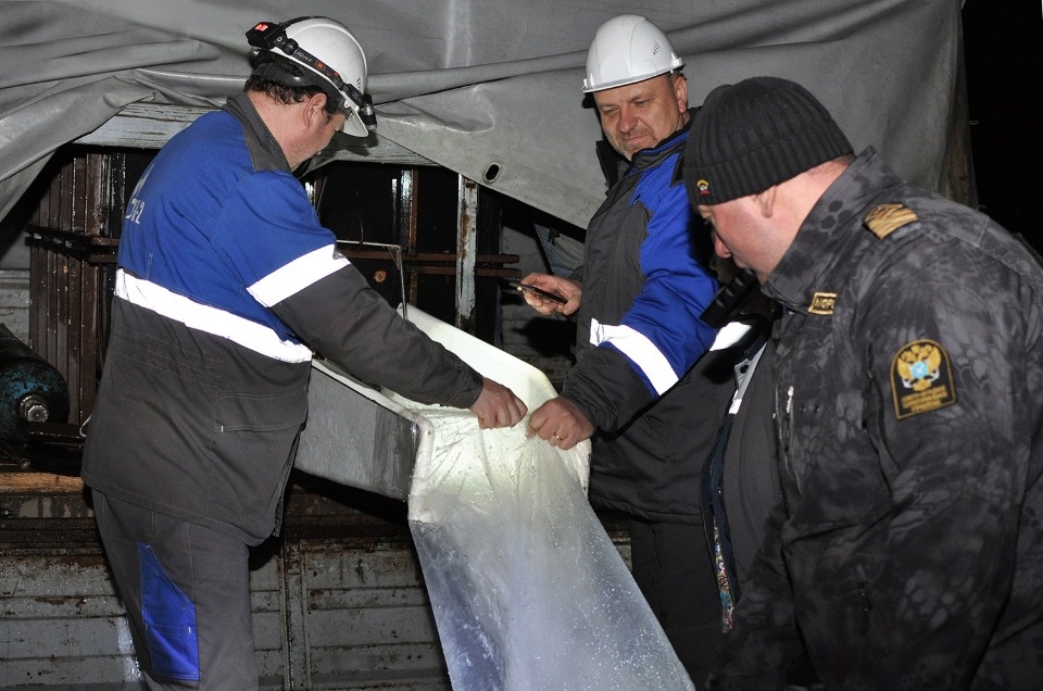 Псковские энергетики выпустили в водохранилище в Дедовичском районе тысячу мальков судака