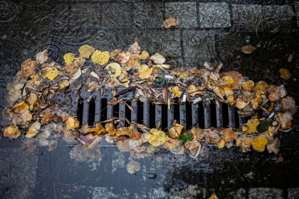 За 2-3 года в Пскове планируется обновить линёвки 