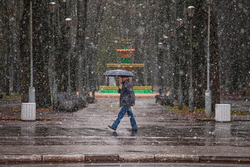 Мокрый снег ожидается в Псковской области 15 ноября 